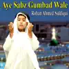 Rohan Ahmed Siddiqui - Aye Sabz Gumbad Wale - Single